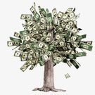 Now you too can grow your own money tree